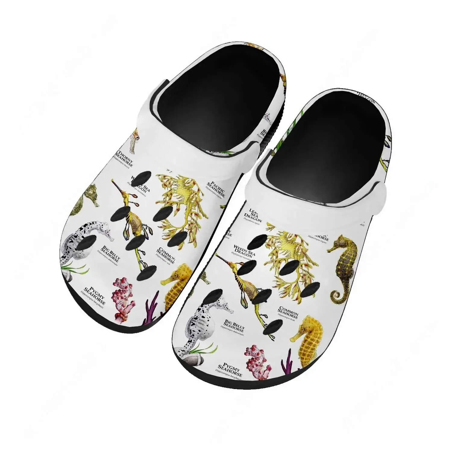 Sandales Seahorse pour femmes  - Men'S Shoes Quality avis et prix